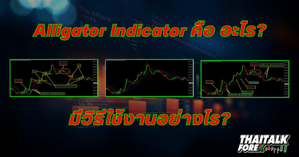 Alligator Indicator คือ อะไร มีวิธีใช้งานอย่างไร