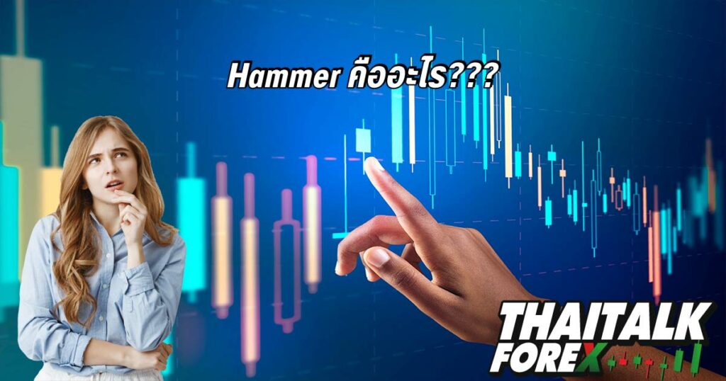 Hammer คืออะไร???