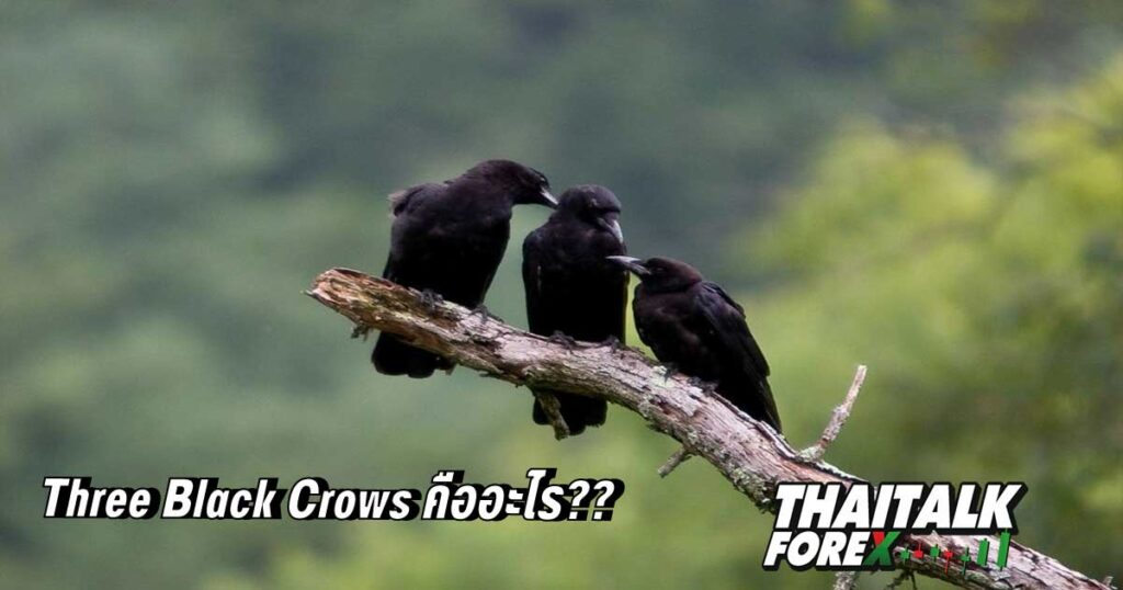 Three Black Crows คืออะไร??