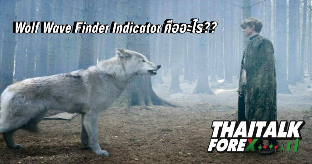 Wolf Wave Finder Indicator คืออะไร??