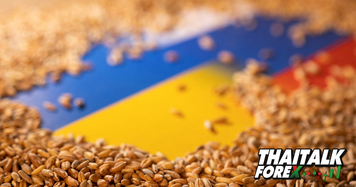 ยูเครนคาด ธัญพืชของยูเครนส่งออกน้อยกว่า 3 ล้านตันในเดือนพฤศจิกายน