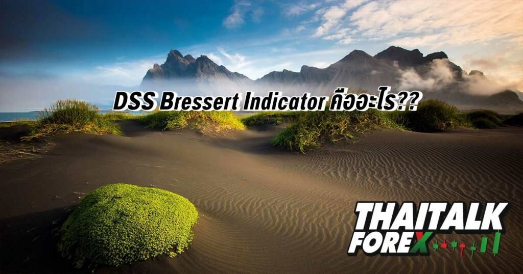 DSS Bressert Indicator คืออะไร??