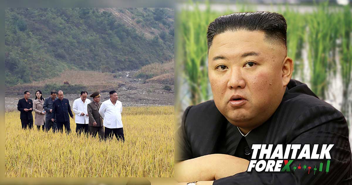 คิมเกาหลีเหนือสั่งปฏิรูปการเกษตร หลังเกิดวิกฤตอาหาร